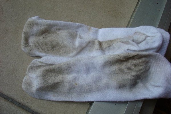 chaussettes, Vêtements | Femmes, Socquettes et Bas genoux, Porté, Blanc, Envoi