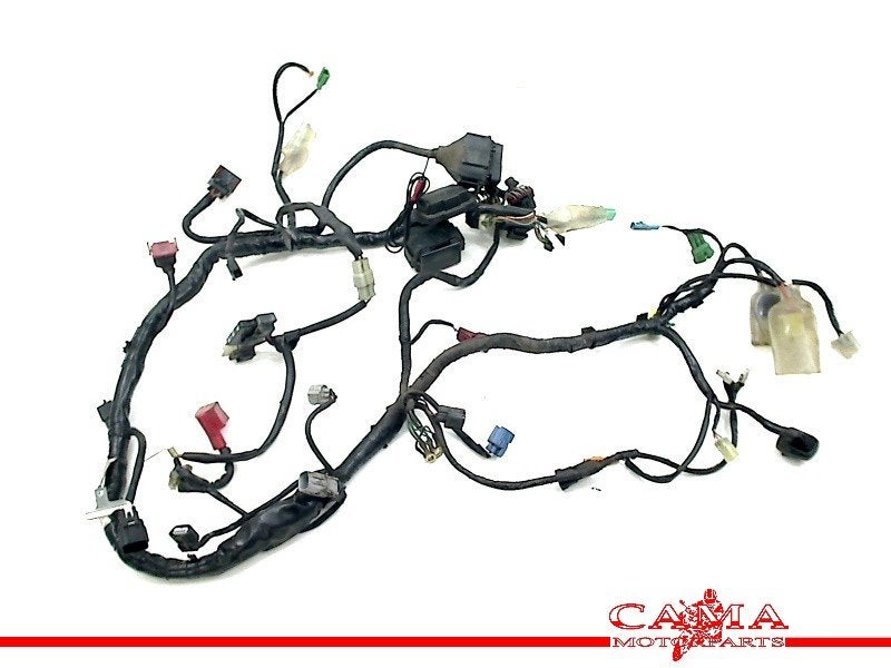 KABELBOOM Honda CBF 1000 2006-2009 (CBF1000 SC58), Dhr. S. di Majo, Gebruikt, Info@cama-motorparts.nl, P.J. Troelstraweg 8 8
3144 CX  MAASSLUIS, NL