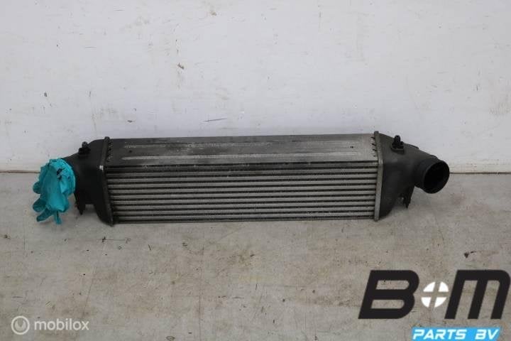 Laadluchtkoeler Audi TTRS / RS3 8P 8J0145804B, Utilisé