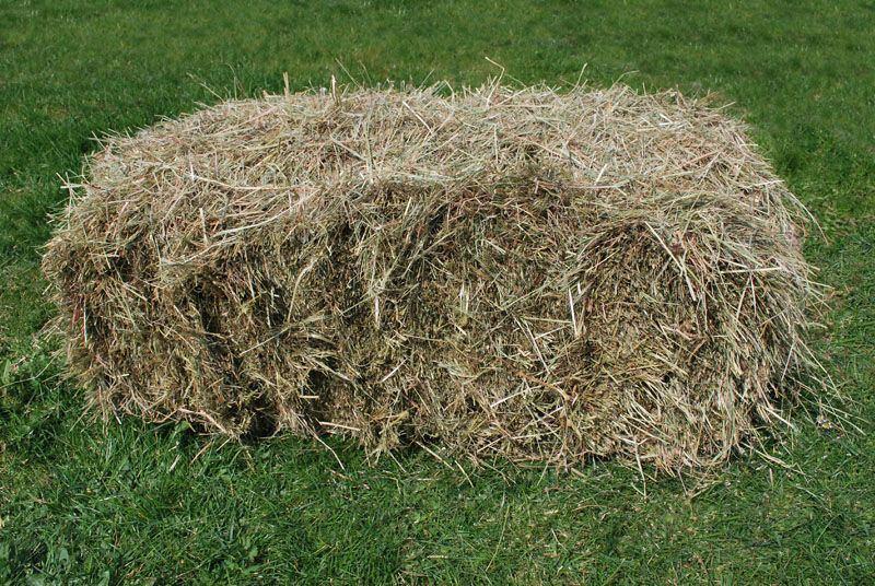 hooi te koop, Dieren en Toebehoren, Ophalen, Overige soorten