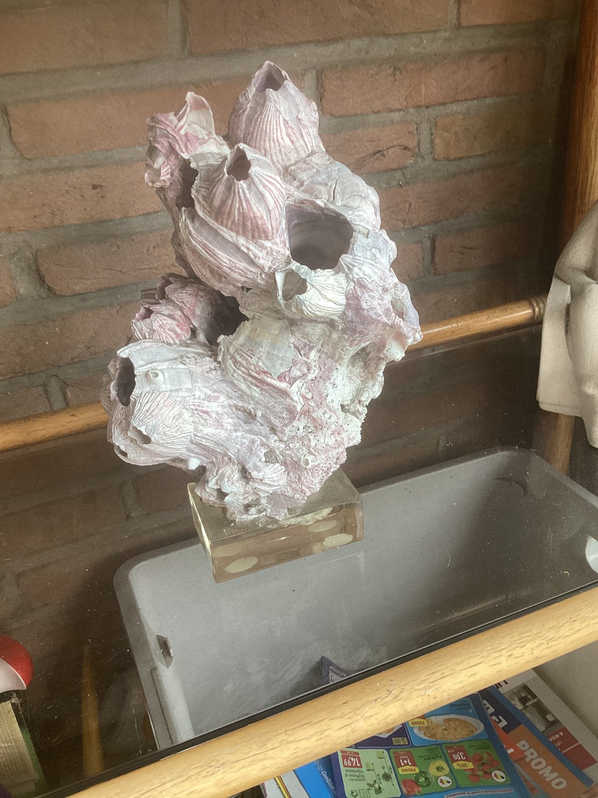 Decoratie beeldje uit schelpen gemaakt, Tuin en Terras, Ophalen, Zo goed als nieuw