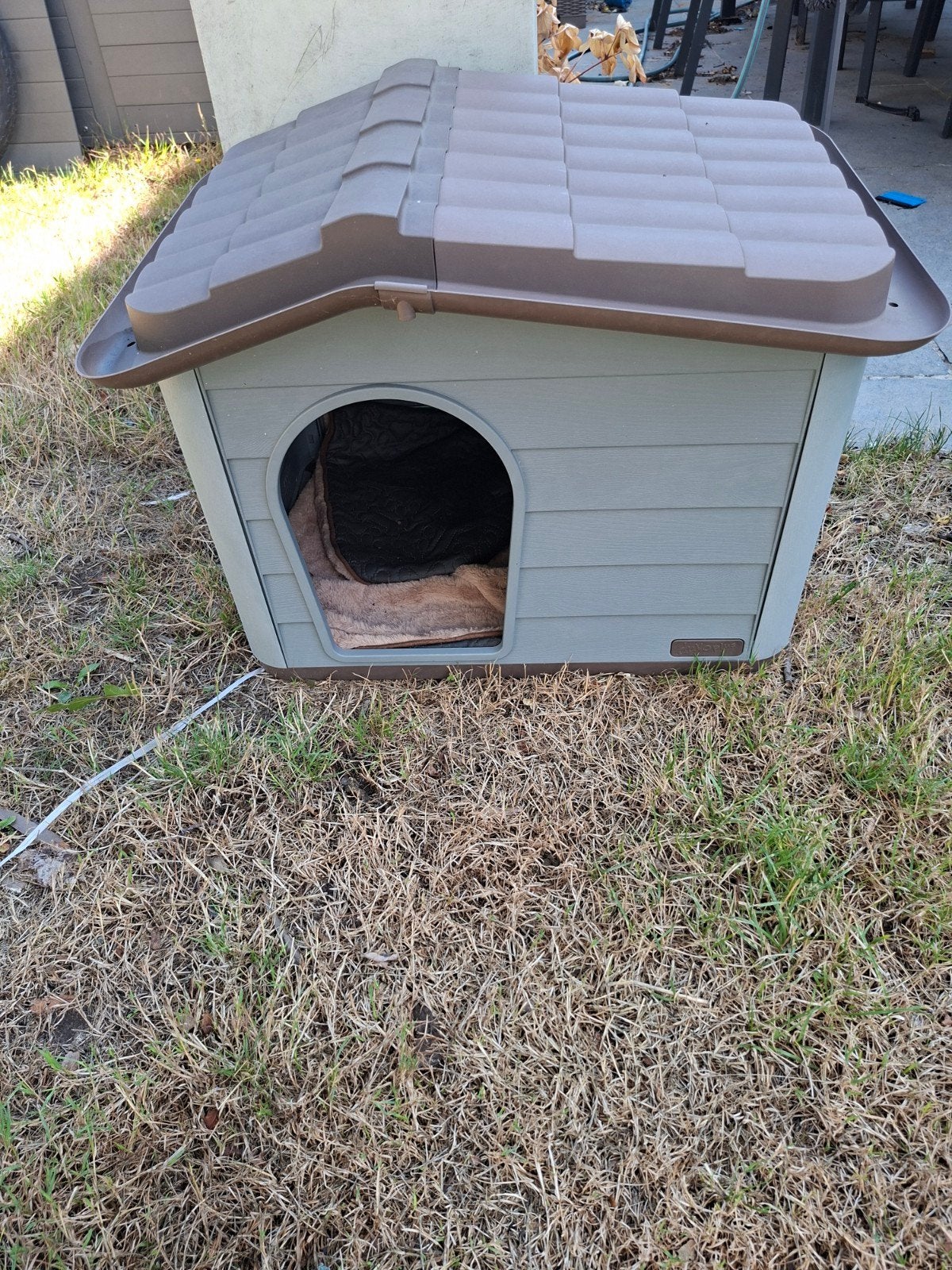 poezen honden huisje, Enlèvement