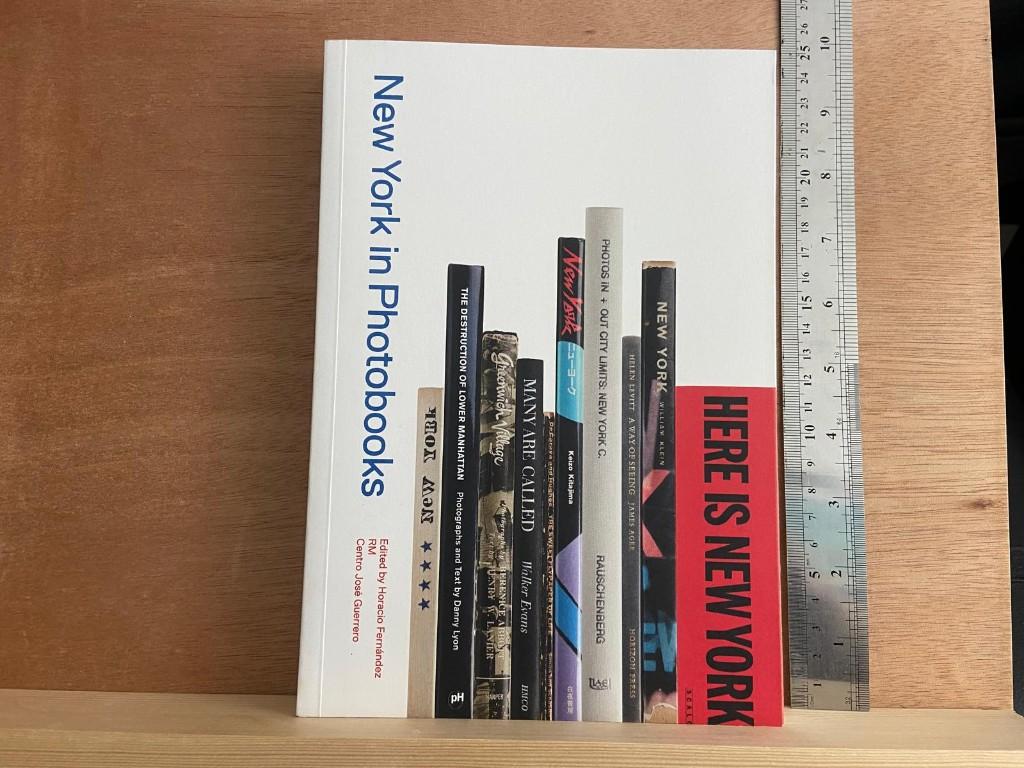 New York in fotoboeken, Boeken, Kunst en Cultuur | Fotografie en Design, Ophalen of Verzenden, Zo goed als nieuw, Fotografen