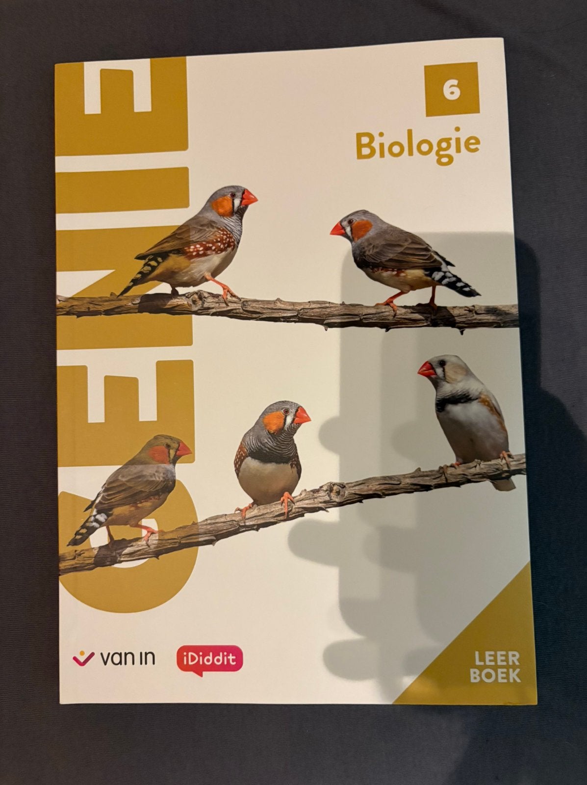 Genie Biologie 6 - leerboek (incl. licentie), Boeken, Ophalen of Verzenden, Nederlands