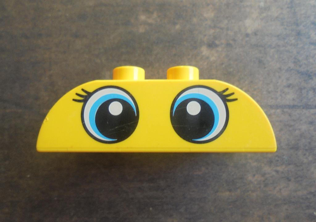 Lego Duplo Brick 2x4 Slope Curved Double (zie foto's) 4, Ophalen of Verzenden, Gebruikt, Losse stenen, Duplo