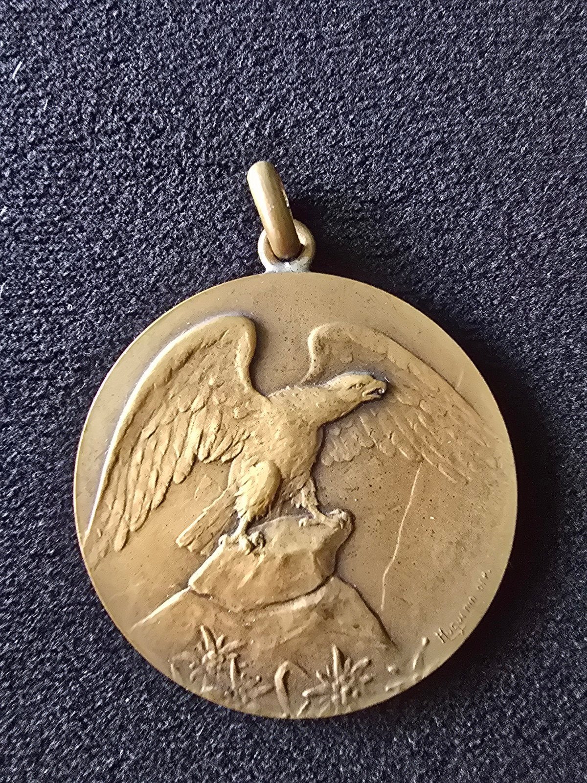 Medaille 1913 (Belgische Ornithologische Vereniging) bronzen, Postzegels en Munten, Ophalen of Verzenden, Brons