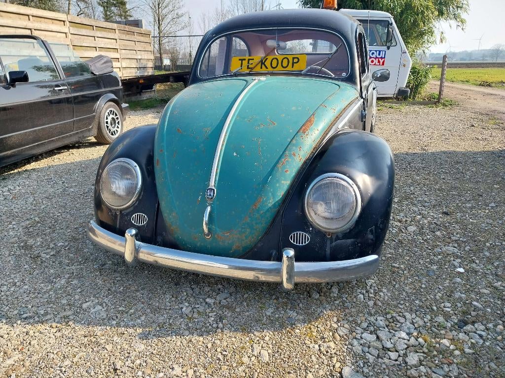 VW Beetle Ovale 1956, Autos, Oldtimers & Ancêtres, Particulier, Volkswagen, Essence, Autre carrosserie, 2 portes, Boîte manuelle