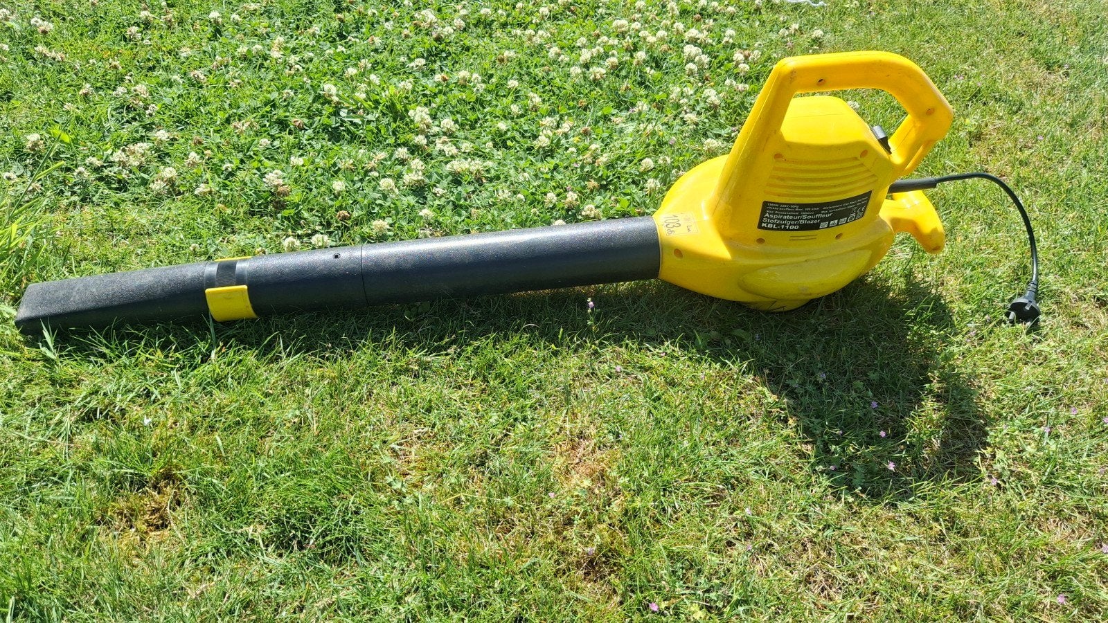 Bladblazer elektrische, Tuin en Terras, Ophalen