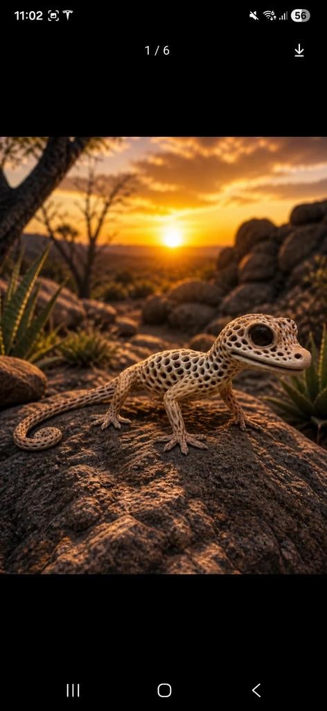 3d print reptielen alles soorten beesten,hond,paard.., Dieren en Toebehoren, Ophalen