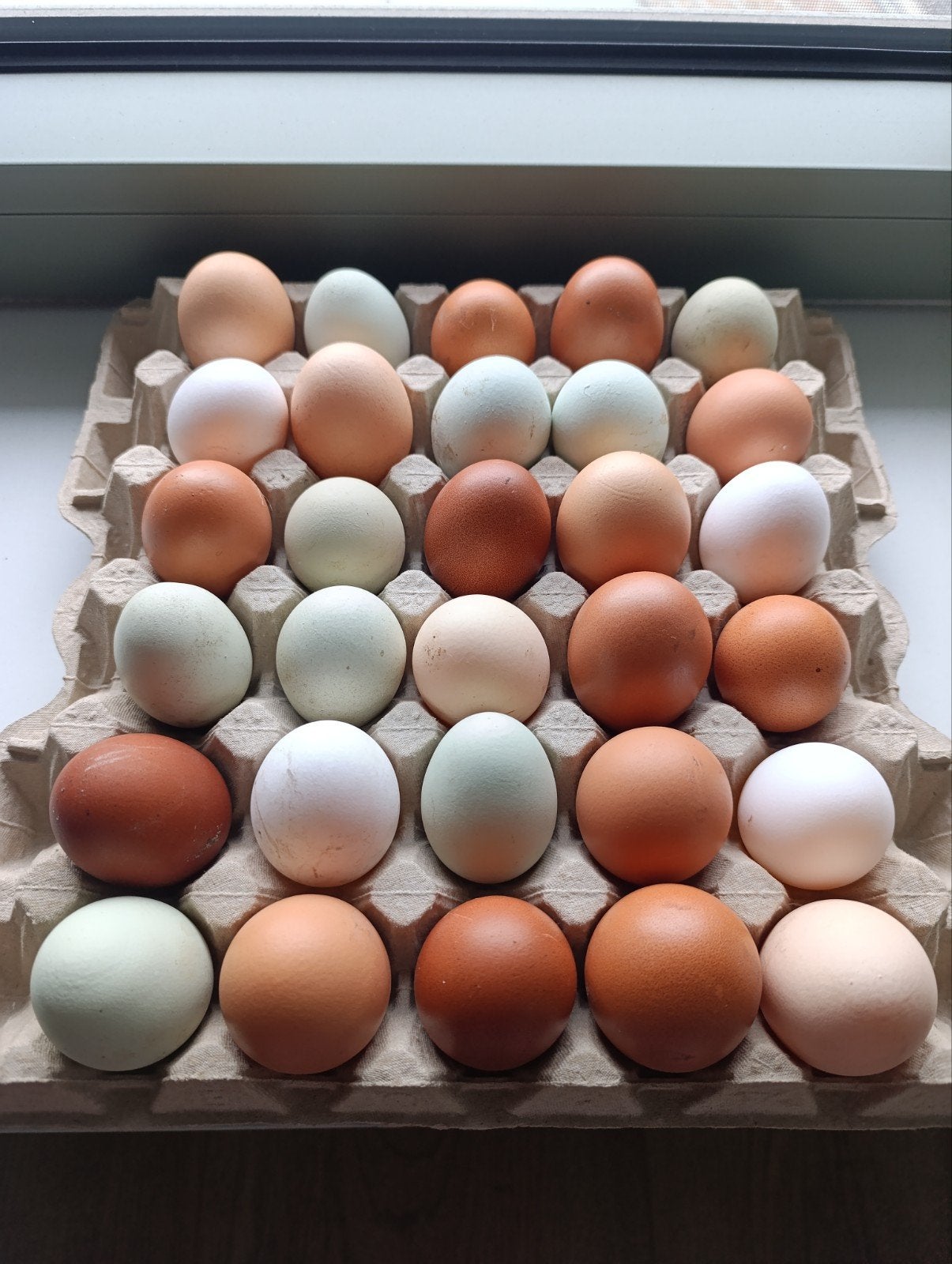 eieren, Divers, Produits alimentaires, Enlèvement