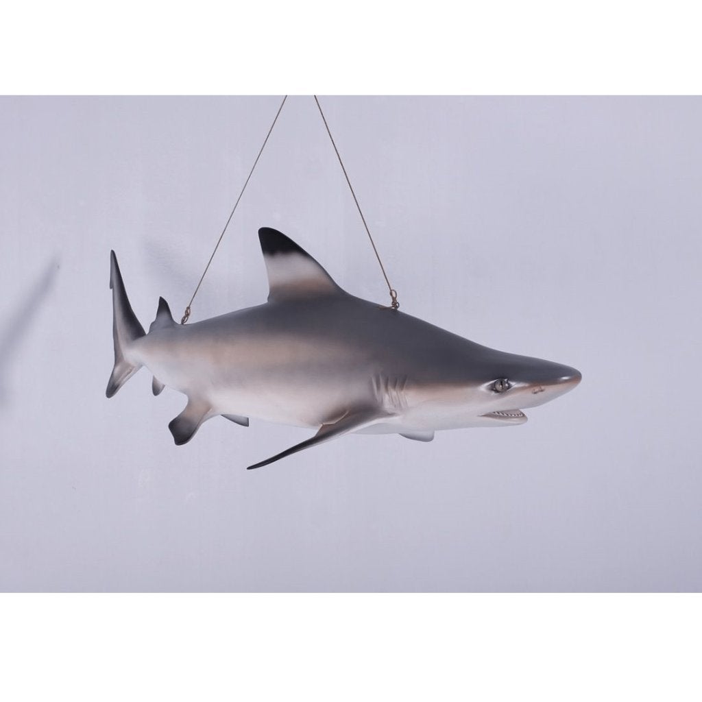 Shark Tip Reef Black beeld – Haai Lengte 115 cm, Ophalen, Nieuw