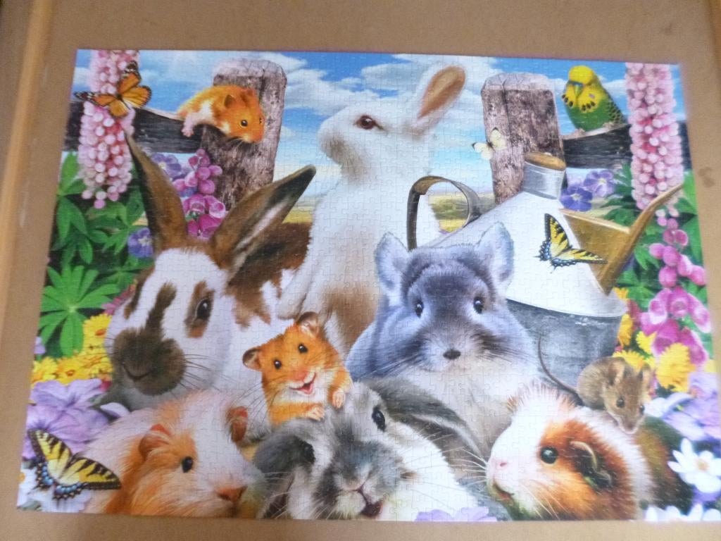 Puzzel, Enlèvement ou Envoi