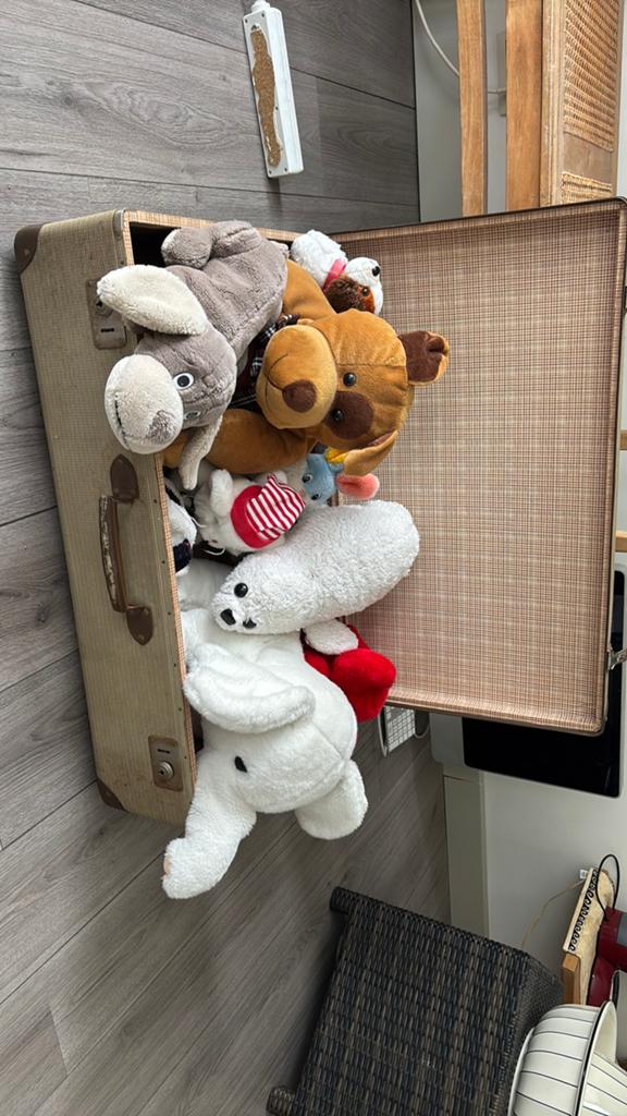 Knuffelkoffer, Ophalen, Zo goed als nieuw