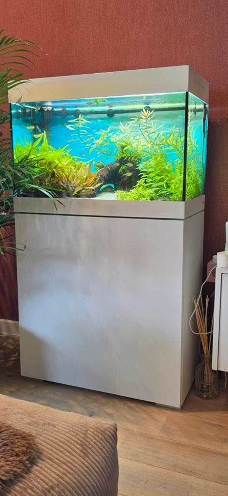Aquarium style line 125 met kast en buitenfilter, Dieren en Toebehoren, Ophalen