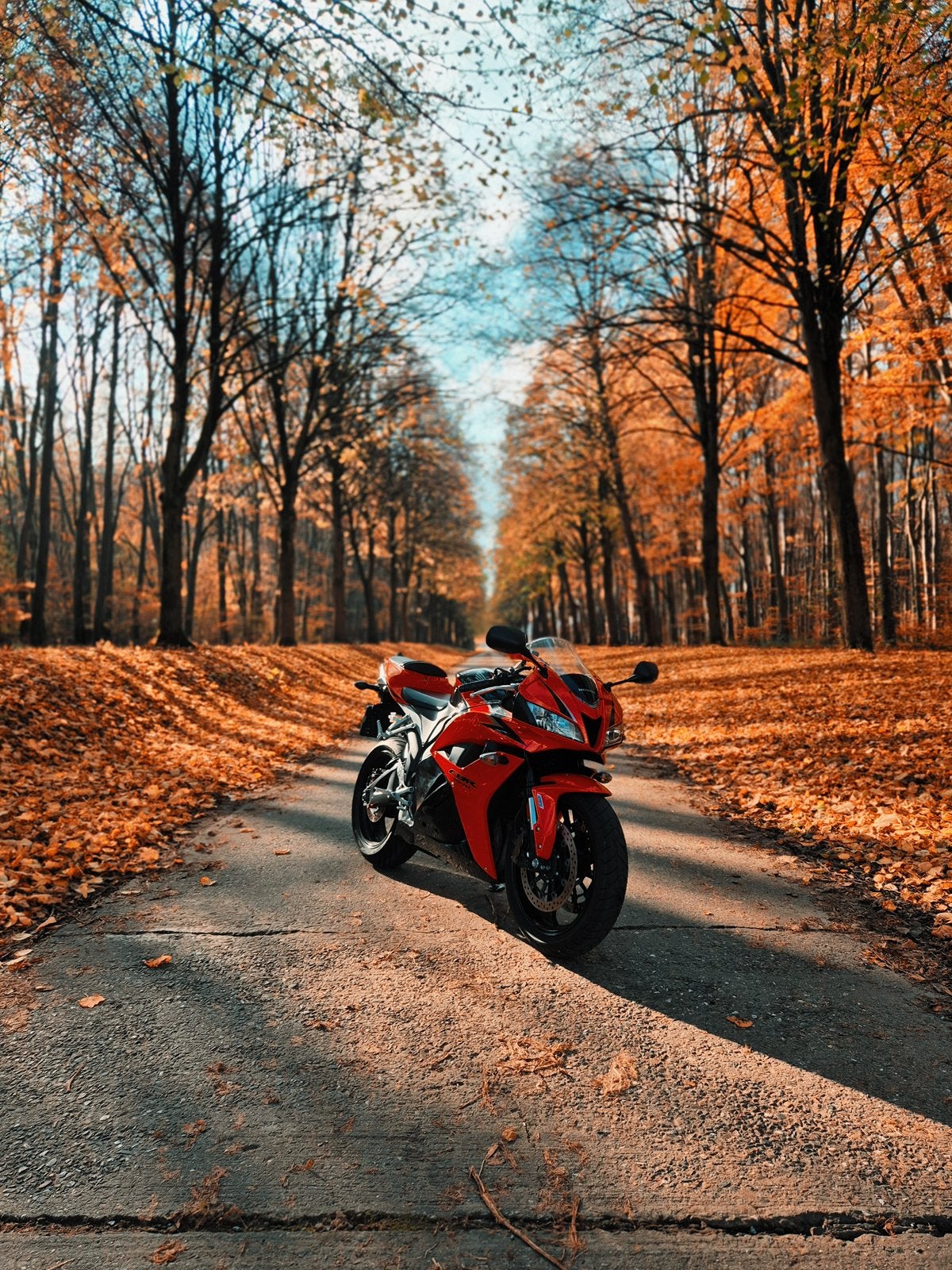 Honda cbr600rr A2-Full Power, Motoren, Occasion, 4 cilinders, Super Sport, Particulier