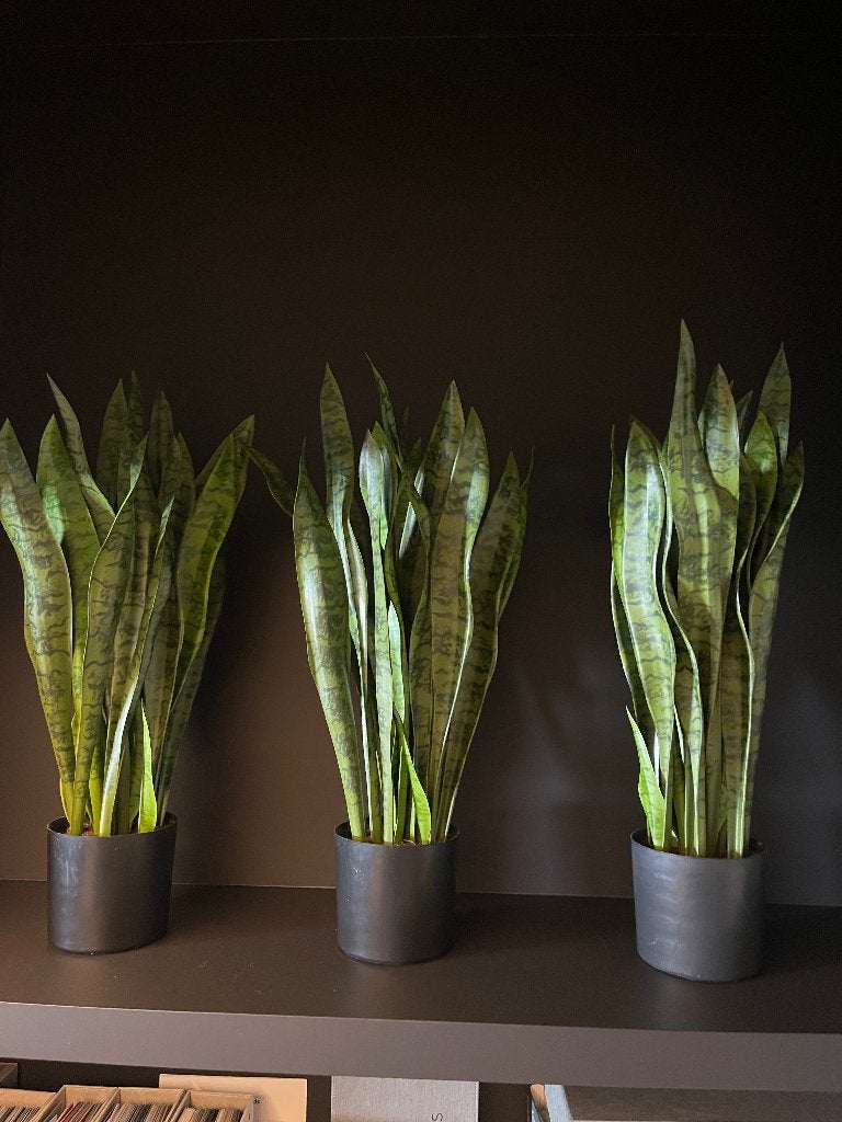 Namaak planten, Tuin en Terras, Ophalen, Vaste plant, Overige soorten