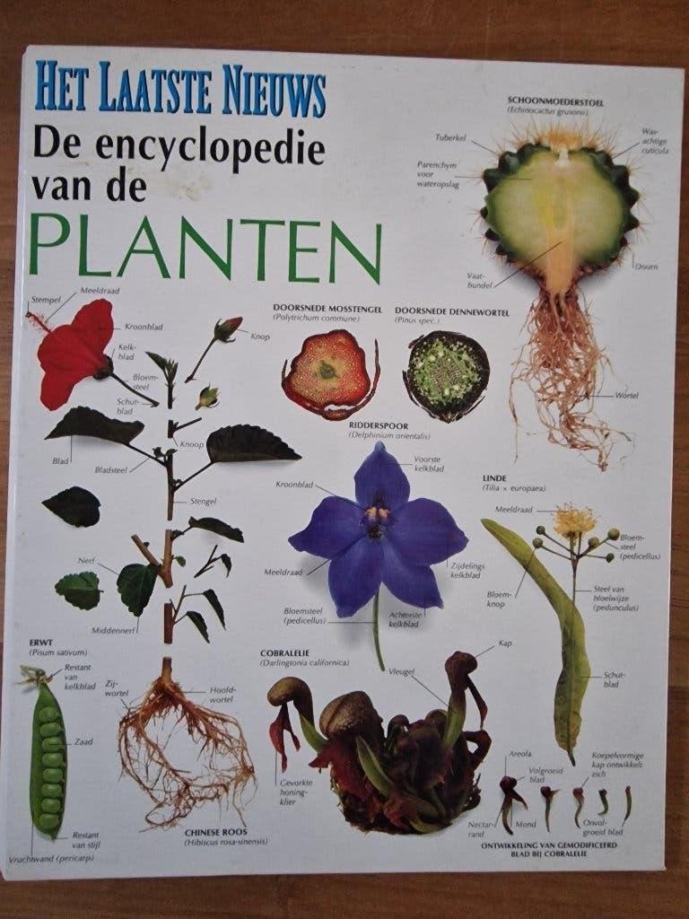 Encyclopedie van de planten, Livres, Enlèvement ou Envoi, Comme neuf, Fleurs et Plantes, Série complète