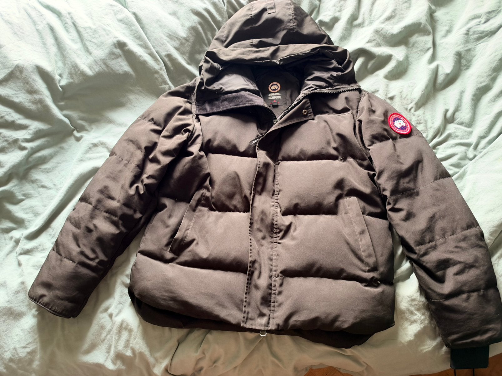 Canada goose, Vêtements | Hommes, Enlèvement ou Envoi, Porté, Noir