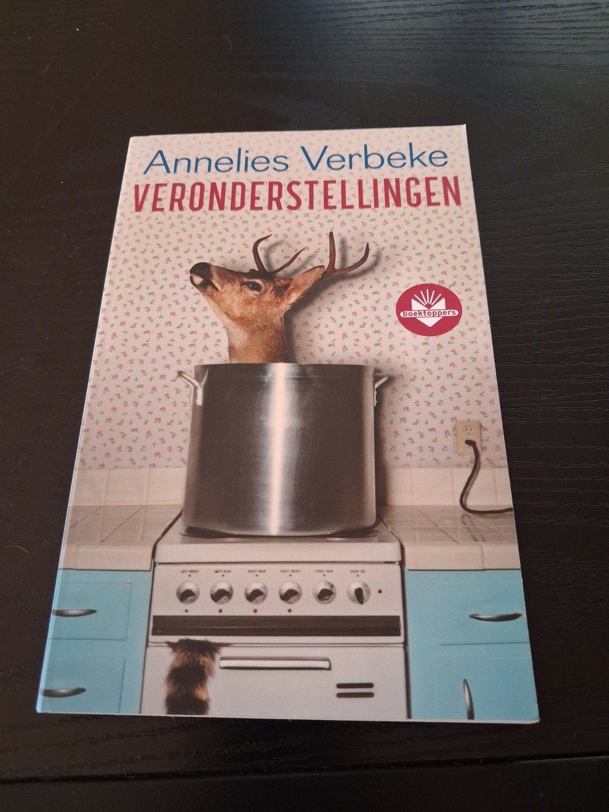 Veronderstellingen, België, Ophalen of Verzenden, Zo goed als nieuw, Annelies Verbeke