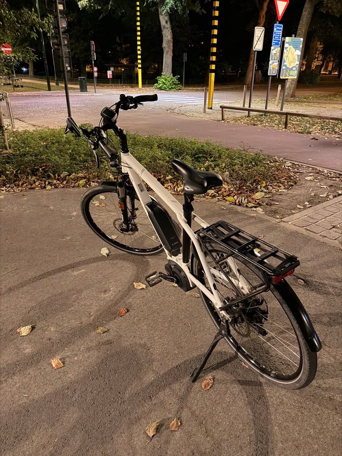 Riëse & Müller elektrische fiets, Fietsen en Brommers, Ophalen, Zo goed als nieuw