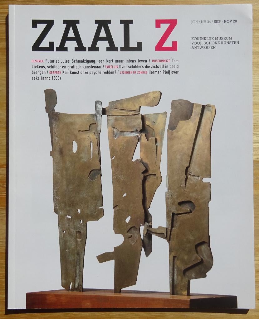 Jules Schmalzigaug in Zaal Z - 2020, Boeken, Kunst en Cultuur | Beeldend, Ophalen of Verzenden, Nieuw, Schilder- en Tekenkunst