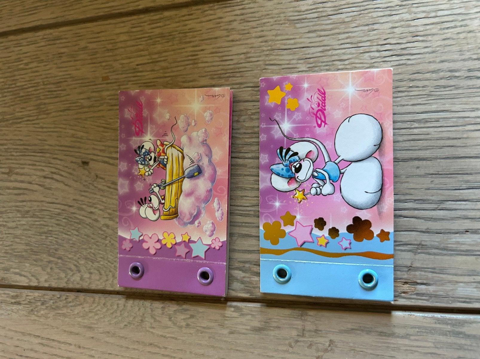 2 nieuwe naamstickerboekjes Diddl, Enlèvement, Diddl, Comme neuf
