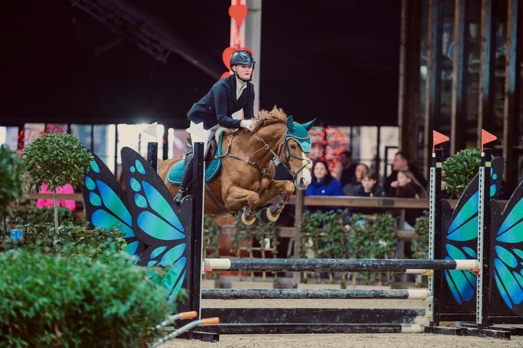 Halve stal gezocht, Dieren en Toebehoren, Paarden