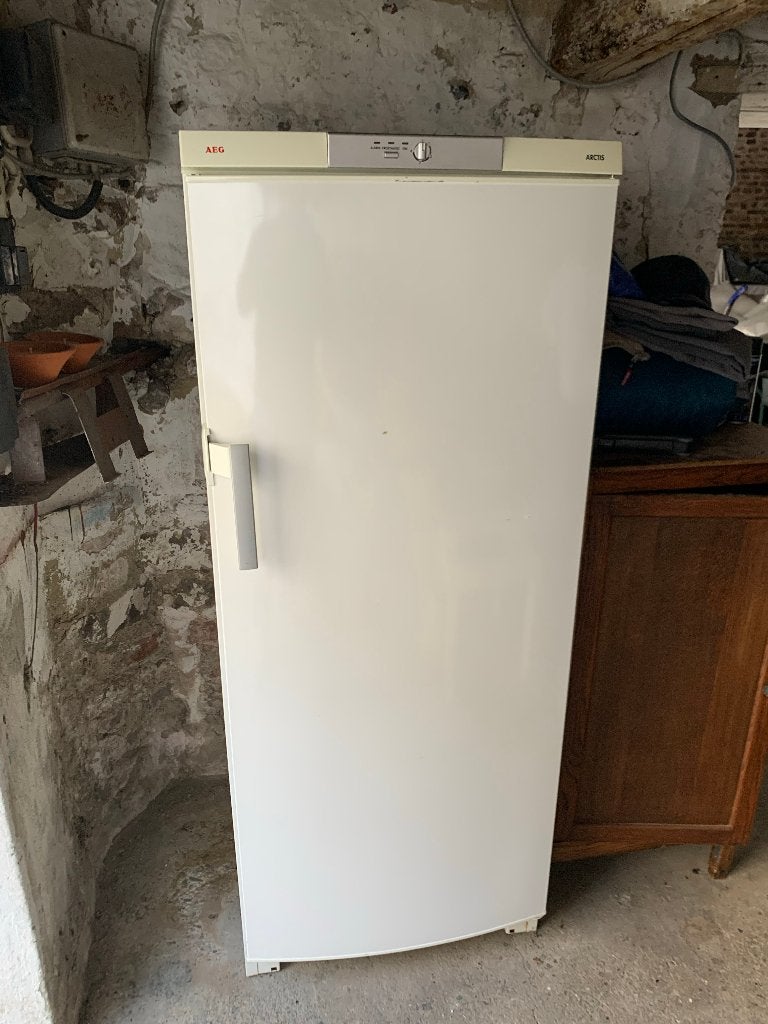 Congélateur armoire AEG Arctis, Electroménager, Congélateur, 160 cm ou plus, Enlèvement, Utilisé