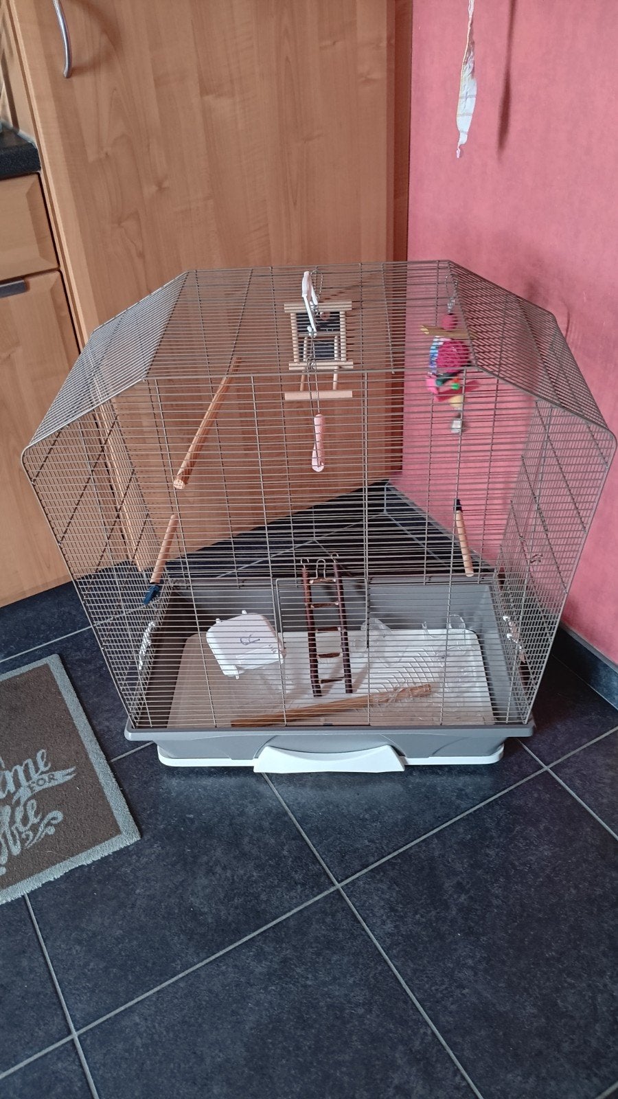 Mooie vogelkooi merk savic., Ophalen