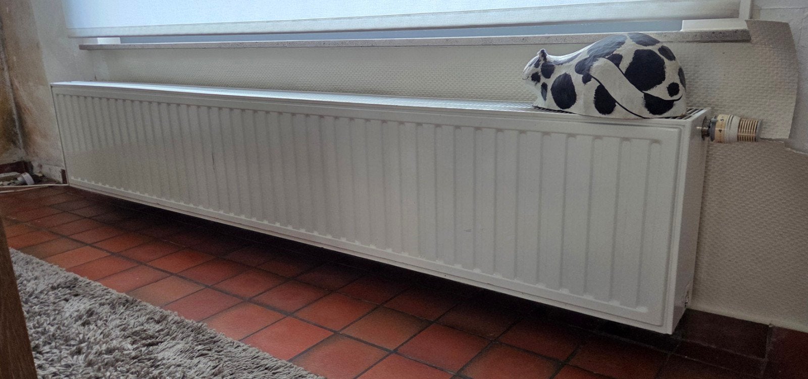 Radiator Radson 230 op 41 op 17, Ophalen, Radiator
