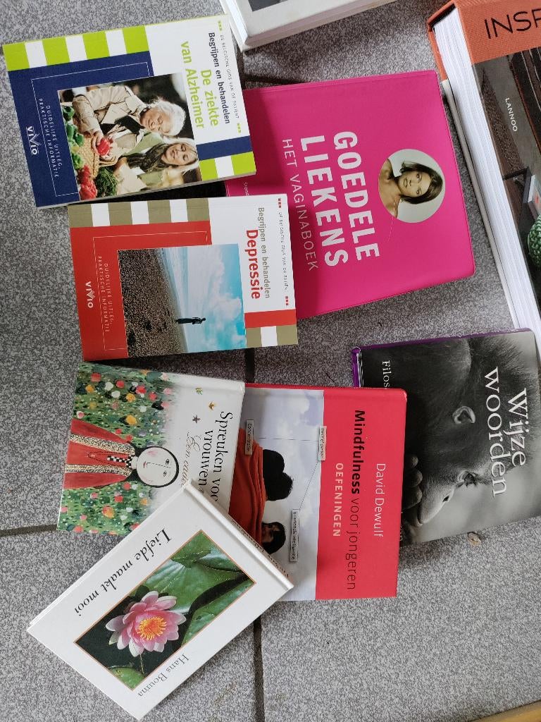 verschillende boeken, Ophalen of Verzenden, Gelezen