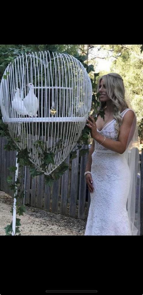 Colombe pour mariage 0466040349, Animaux & Accessoires, Oiseaux | Pigeons