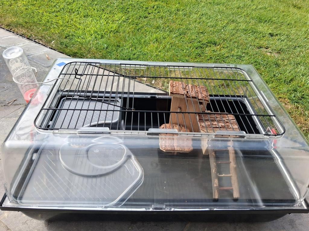 Cavia,muis,enz,, Ophalen, Kooi, Muis