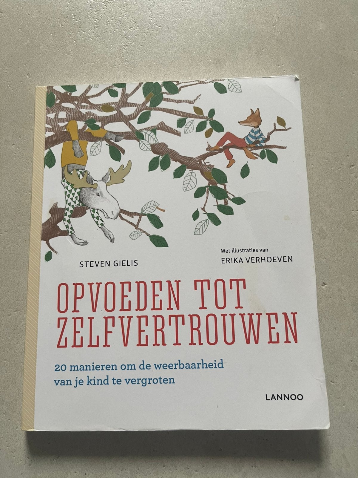 Steven Gielis - Opvoeden tot zelfvertrouwen, Livres, Grossesse & Éducation, Neuf, Enlèvement ou Envoi, Éducation à partir de 10 ans