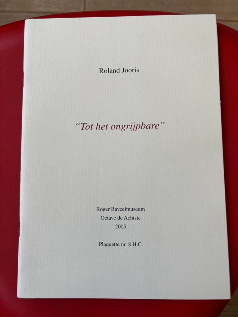 Tot het ongrijpbare - Roland Jooris Roger Raveel, Boeken, Ophalen of Verzenden, Zo goed als nieuw