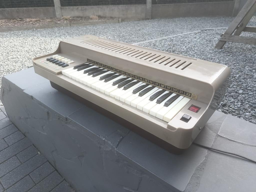 Orgue de table électrique vintage « Magnus » des années 70, Musique & Instruments, Instruments à vent | Harmonica, Enlèvement