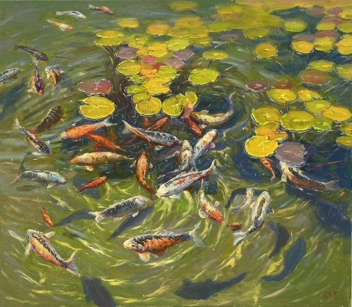 Poisson - koi à donner., Animaux & Accessoires, Poissons | Poissons d'étang, Carpe ou Koï