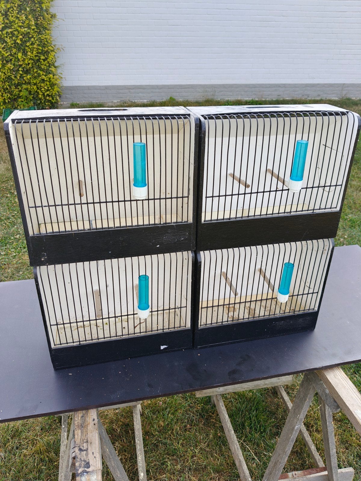 Tt kooi, Dieren en Toebehoren, Vogels | Hokken en Kooien, Ophalen