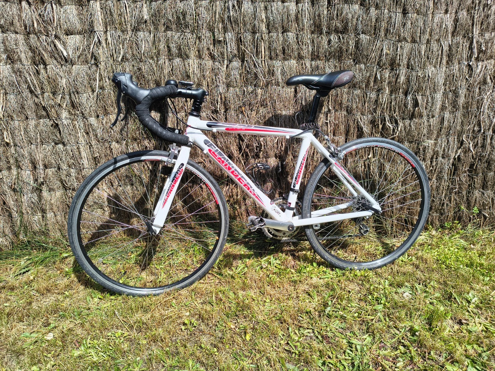 Koersfiets jeugd, Fietsen en Brommers, Ophalen