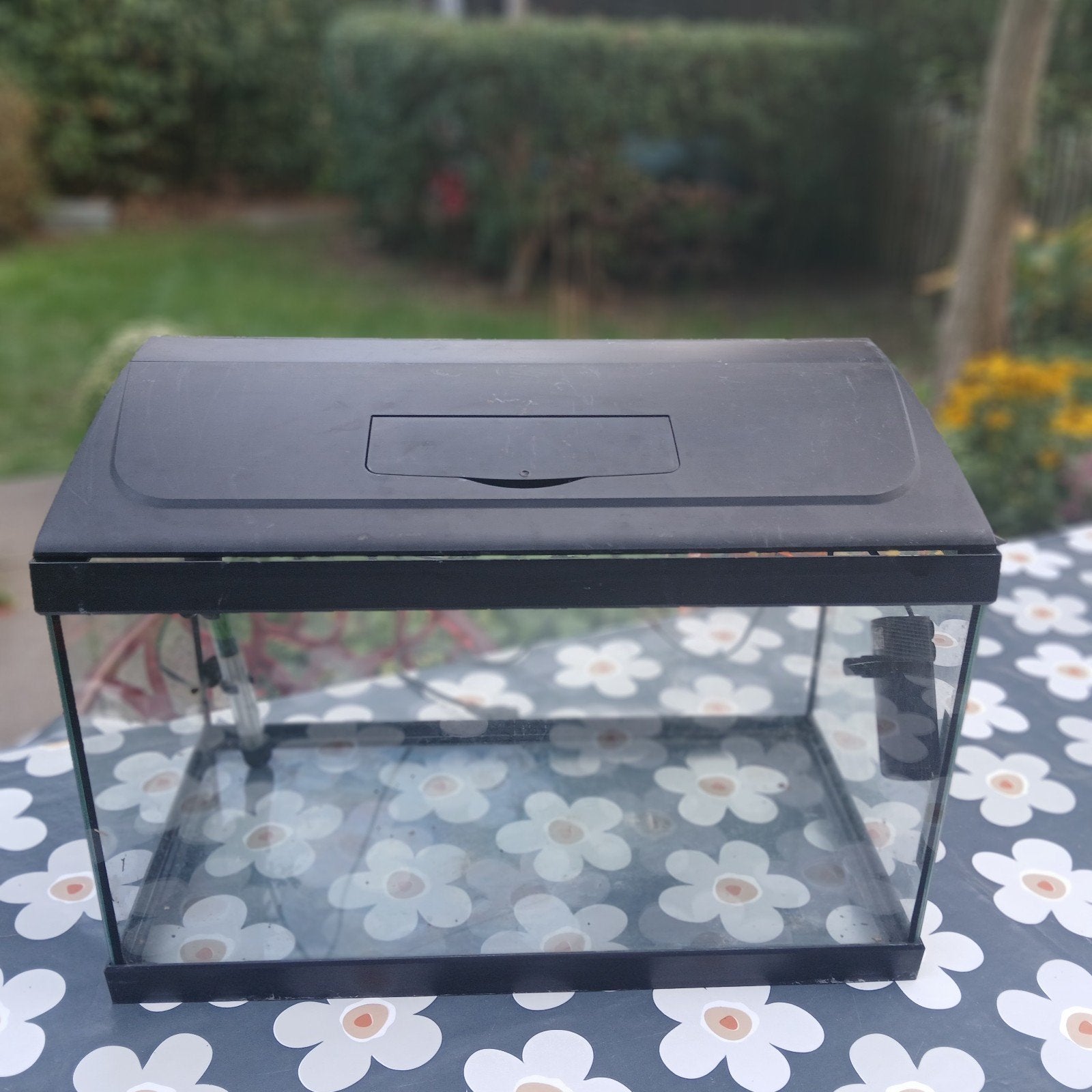 aquarium. 60 x 30 x 35, Enlèvement, Utilisé