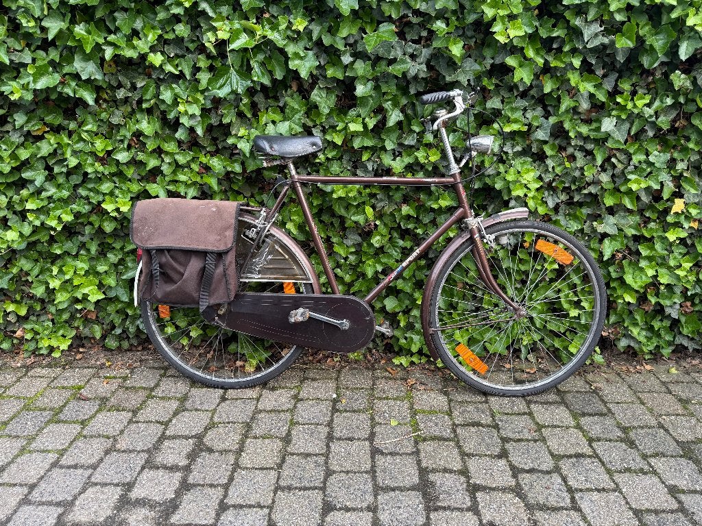 Nederlandse herenfiets – Excellent Sport Standard, Enlèvement, Vitesses