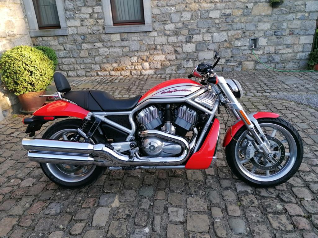 Harley Davidson Street Rod Vrscr, Motoren, Motoren | Harley-Davidson, Particulier, Ophalen