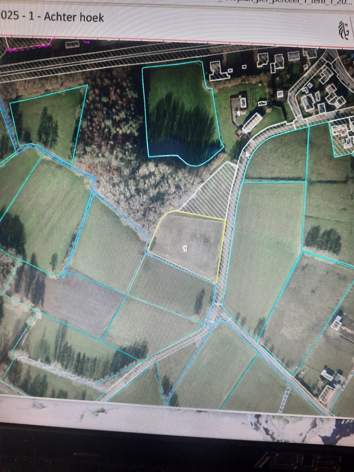 Te koop landbouwgrond, Hamont, Ventes sans courtier, 1500 m² ou plus