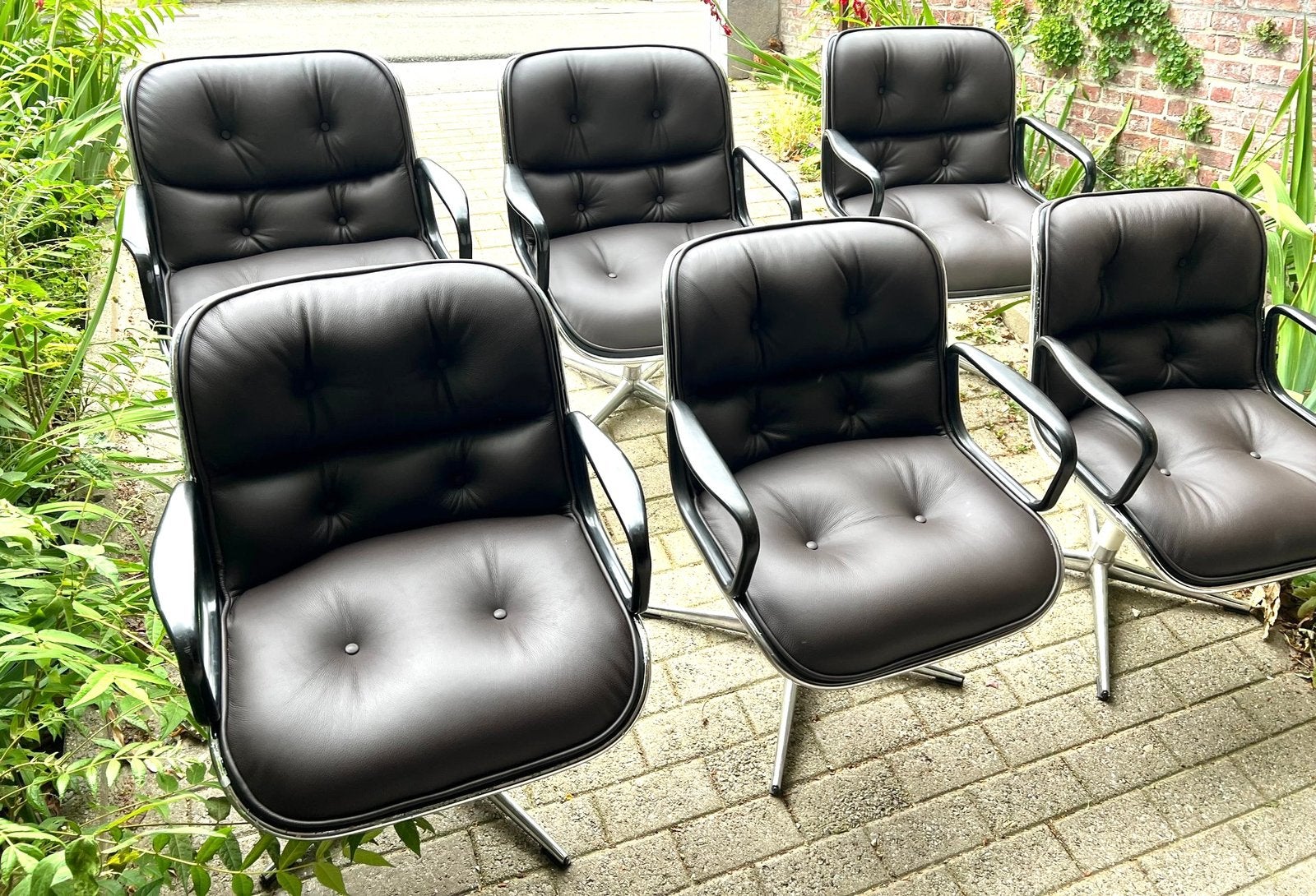 6 x  POLLOCK EXECUTIVE CHAIR FOR KNOLL, Mid-Century, Comme neuf, Brun, Enlèvement