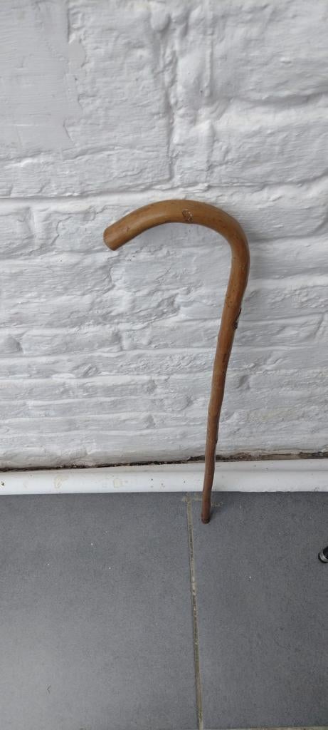 wandelstok kinderen
