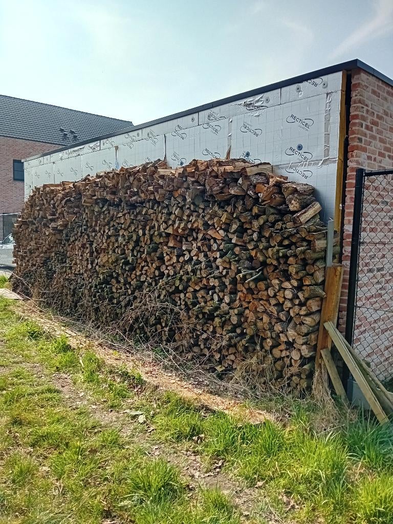 Brandhout (eik), Tuin en Terras, Brandhout, 6 m³ of meer, Ophalen, Eikenhout, Blokken