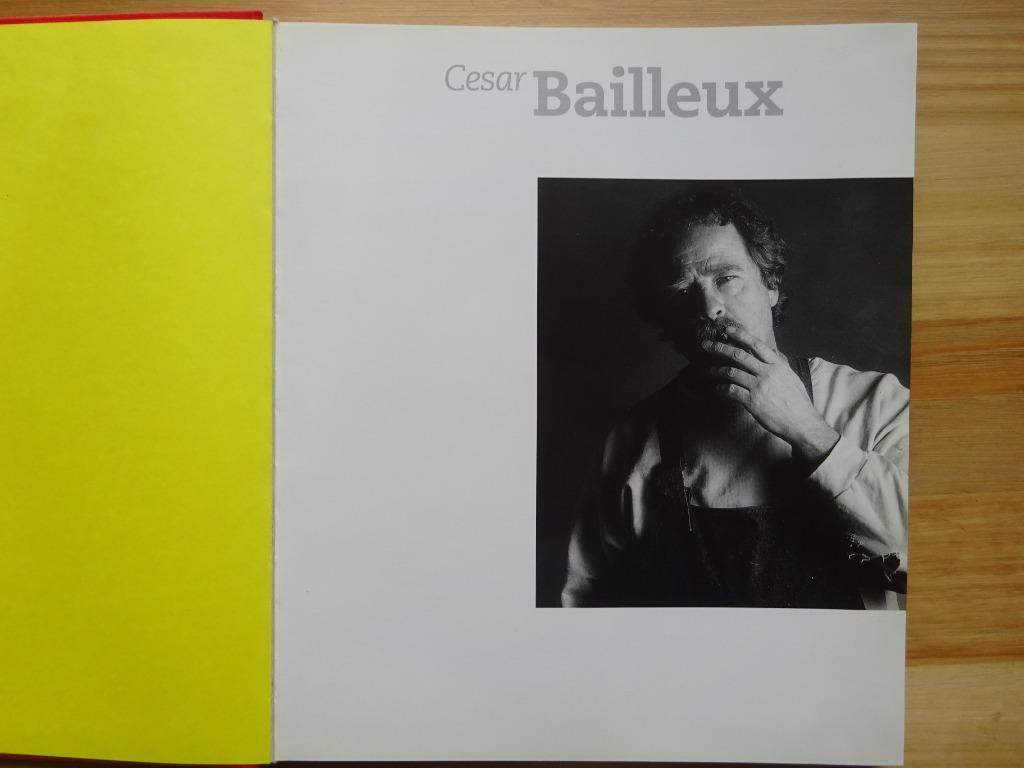 Cesar Bailleux,   Monografie Roularta Art Books  1996, Enlèvement ou Envoi, Utilisé, Sculpture