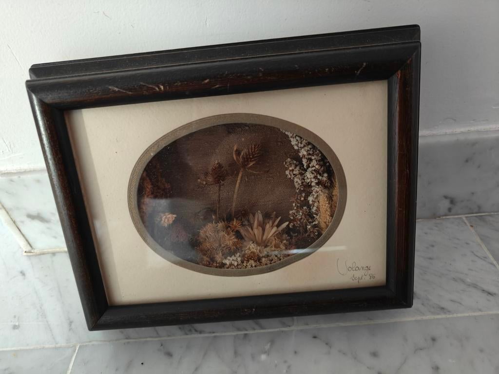 Cadre avec fleurs séchées. Solange de l'étang 1986, Enlèvement ou Envoi