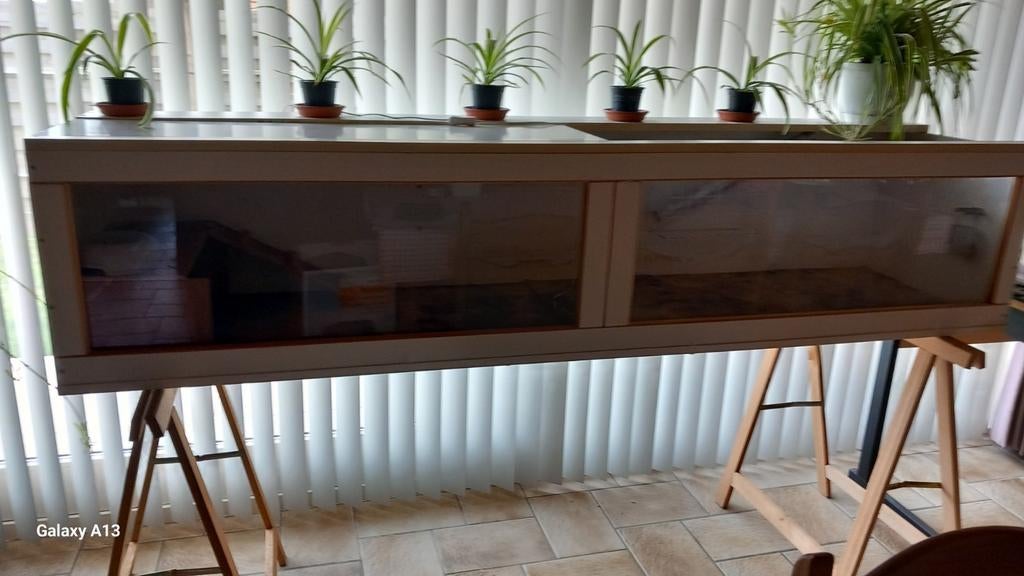 Cavia meubel voor binnenshuis., Februari, Cavia