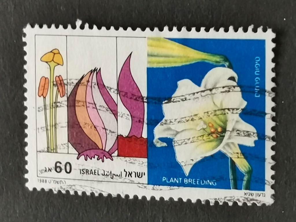 Israel 1988 - bloemen, bloementeelt, lelie, Ophalen of Verzenden, Gestempeld, Midden-Oosten